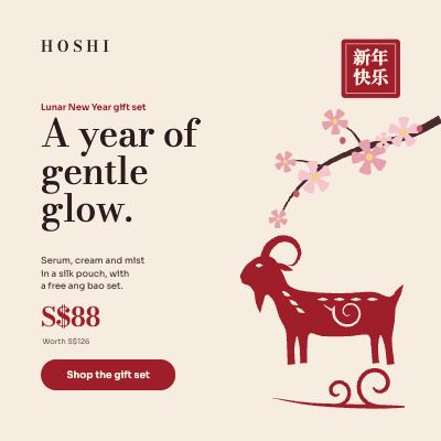 Hoshi Beauty Lunar New Year Meta Ad Set template preview