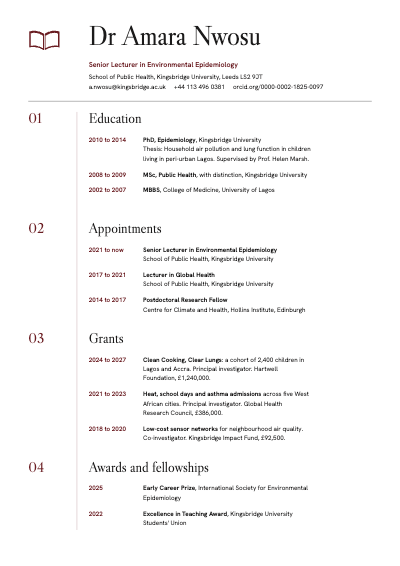 Dr Amara Nwosu Academic CV template preview