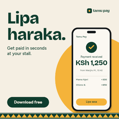 Tamu Pay Mobile Money Meta Ad Set template preview