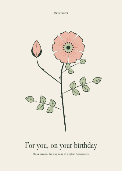 Dog Rose Botanical Birthday Card template preview