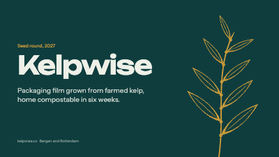 Kelpwise Seaweed Packaging Seed Deck template preview