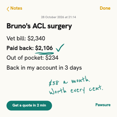 Pawsure Pet Insurance Notes App Ad Set template preview
