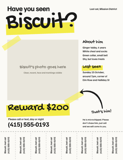 Have You Seen Biscuit Lost Cat Flyer template preview