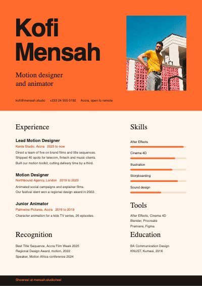 Bold Colour Block Resume template preview