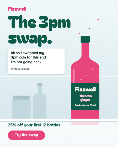 Fizzwell Kombucha Fridge Door Meta Ad Set template preview