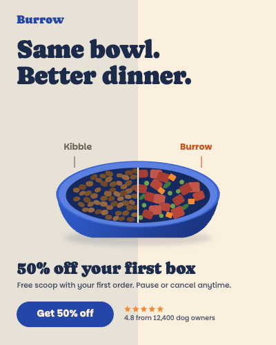 Burrow Fresh Dog Food Meta Ad Set template preview