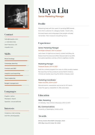 Two Column Modern Resume template preview