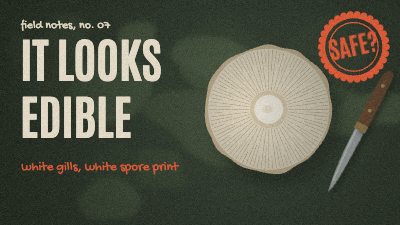 Spore Print Mushroom Foraging Thumbnails template preview
