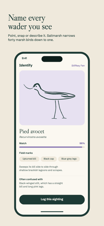 Saltmarsh Birding Field Guide App Screenshots template preview