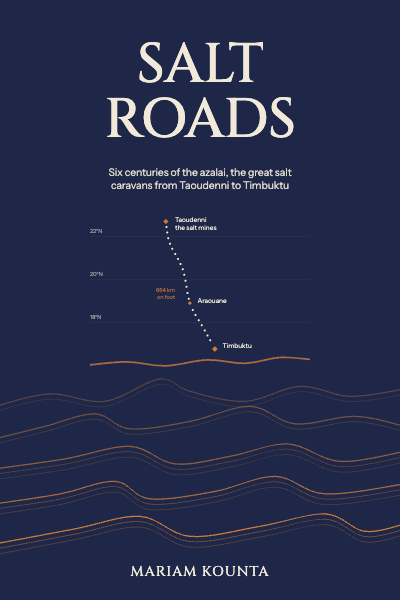 Salt Roads Saharan Caravan History Cover template preview