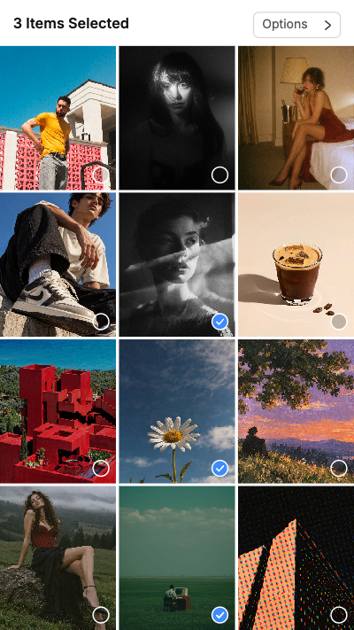 Items Selected Gallery Story template preview